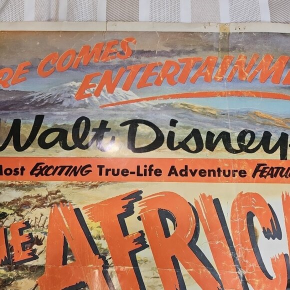 1955 The African Lion Original Walt Disney 28x22 Litho Movie Poster Very Rare US - Picture 4 of 12